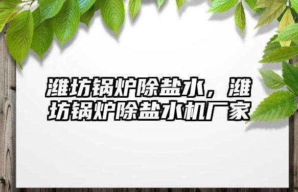 濰坊鍋爐除鹽水，濰坊鍋爐除鹽水機廠家