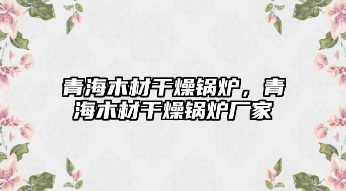 青海木材干燥鍋爐，青海木材干燥鍋爐廠家