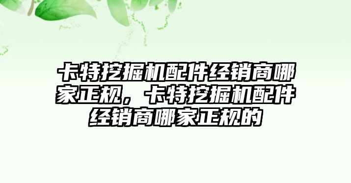 卡特挖掘機配件經(jīng)銷商哪家正規(guī)，卡特挖掘機配件經(jīng)銷商哪家正規(guī)的