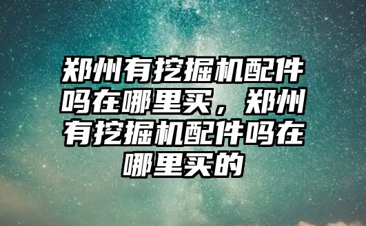 鄭州有挖掘機配件嗎在哪里買，鄭州有挖掘機配件嗎在哪里買的