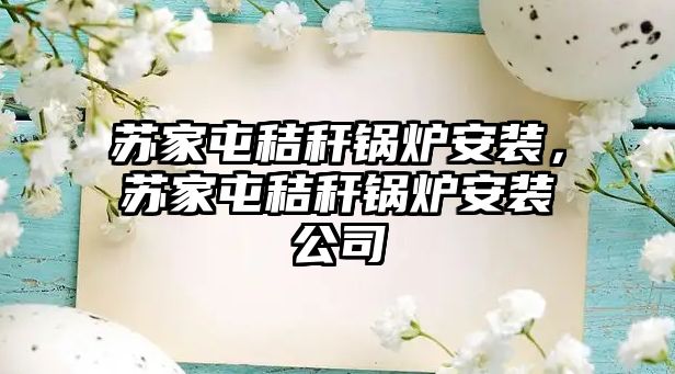 蘇家屯秸稈鍋爐安裝，蘇家屯秸稈鍋爐安裝公司