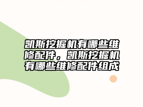 凱斯挖掘機(jī)有哪些維修配件，凱斯挖掘機(jī)有哪些維修配件組成