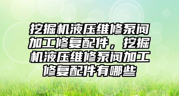 挖掘機液壓維修泵閥加工修復(fù)配件，挖掘機液壓維修泵閥加工修復(fù)配件有哪些