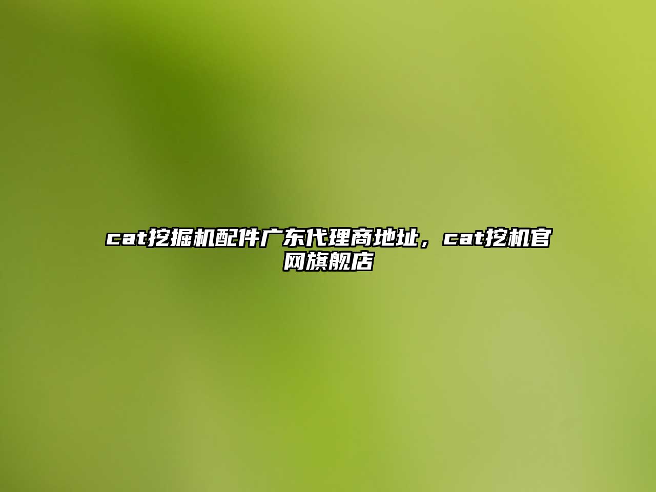 cat挖掘機配件廣東代理商地址，cat挖機官網旗艦店