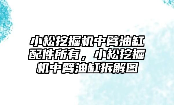 小松挖掘機中臂油缸配件所有，小松挖掘機中臂油缸拆解圖