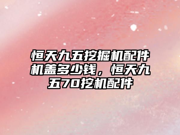 恒天九五挖掘機(jī)配件機(jī)蓋多少錢(qián)，恒天九五70挖機(jī)配件