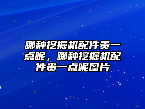 哪種挖掘機配件貴一點呢，哪種挖掘機配件貴一點呢圖片