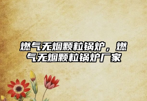 燃?xì)鉄o(wú)煙顆粒鍋爐，燃?xì)鉄o(wú)煙顆粒鍋爐廠家