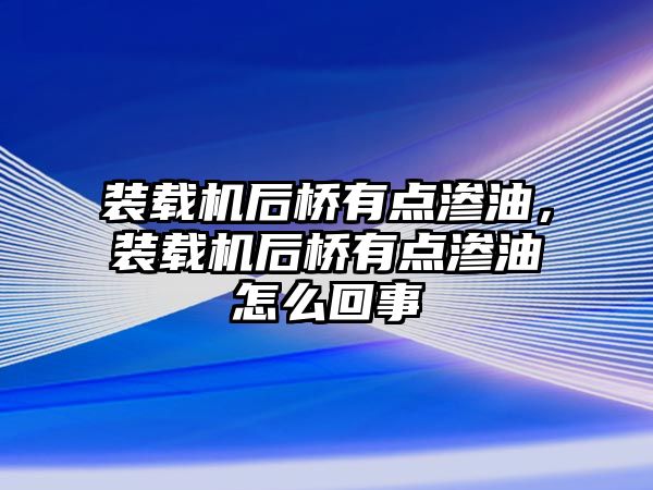 裝載機(jī)后橋有點(diǎn)滲油，裝載機(jī)后橋有點(diǎn)滲油怎么回事