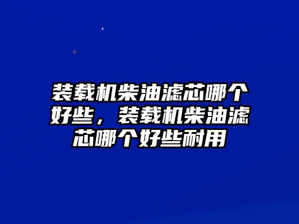 裝載機(jī)柴油濾芯哪個(gè)好些，裝載機(jī)柴油濾芯哪個(gè)好些耐用