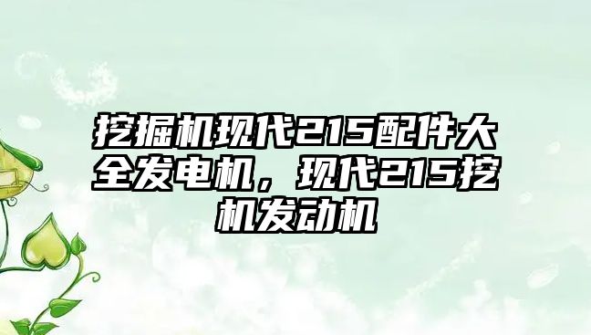 挖掘機現(xiàn)代215配件大全發(fā)電機，現(xiàn)代215挖機發(fā)動機