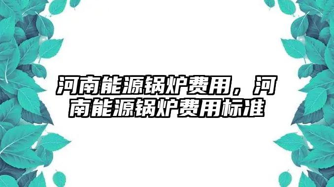 河南能源鍋爐費(fèi)用，河南能源鍋爐費(fèi)用標(biāo)準(zhǔn)