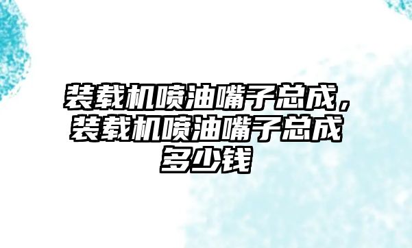 裝載機噴油嘴子總成，裝載機噴油嘴子總成多少錢