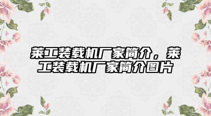 萊工裝載機廠家簡介，萊工裝載機廠家簡介圖片