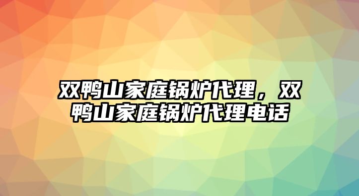 雙鴨山家庭鍋爐代理，雙鴨山家庭鍋爐代理電話