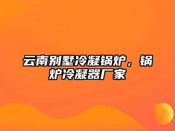 云南別墅冷凝鍋爐，鍋爐冷凝器廠家