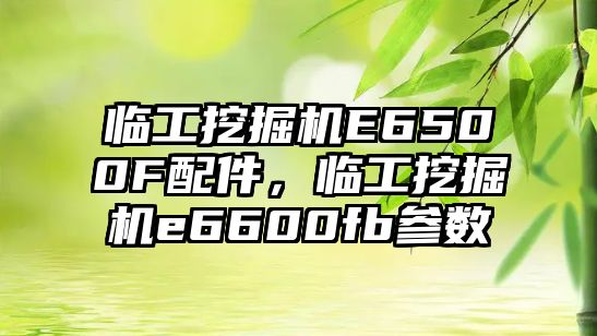 臨工挖掘機E6500F配件，臨工挖掘機e6600fb參數(shù)