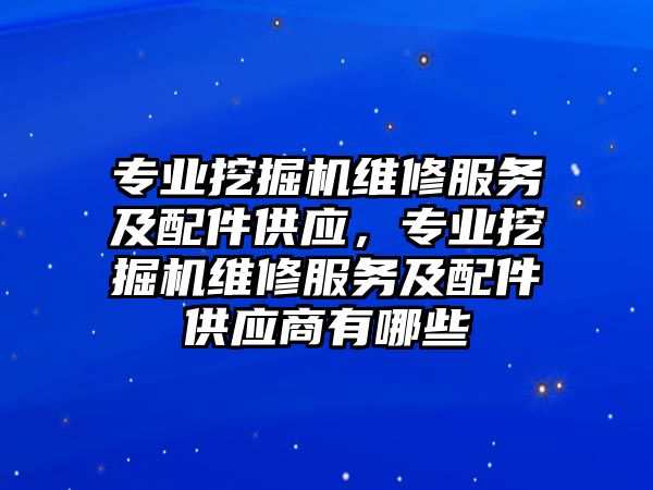 專業(yè)挖掘機維修服務及配件供應，專業(yè)挖掘機維修服務及配件供應商有哪些