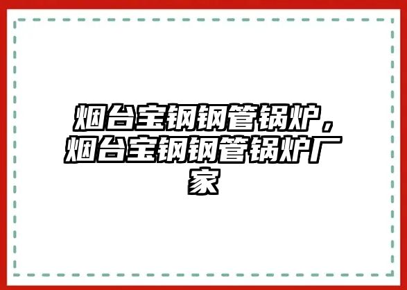 煙臺(tái)寶鋼鋼管鍋爐，煙臺(tái)寶鋼鋼管鍋爐廠家