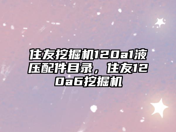 住友挖掘機(jī)120a1液壓配件目錄，住友120a6挖掘機(jī)