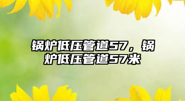 鍋爐低壓管道57，鍋爐低壓管道57米