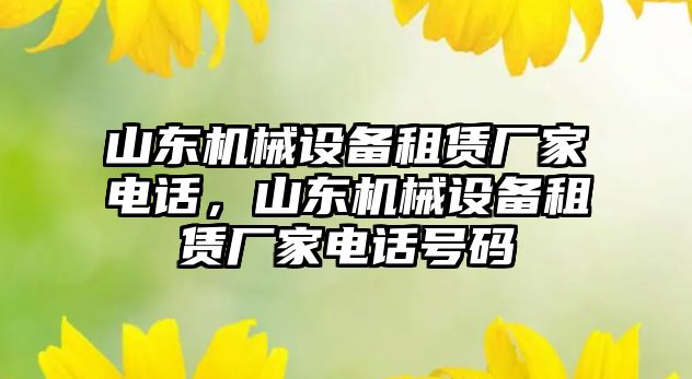 山東機械設(shè)備租賃廠家電話，山東機械設(shè)備租賃廠家電話號碼