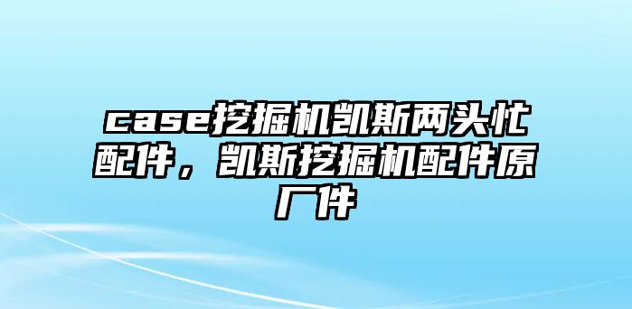 case挖掘機(jī)凱斯兩頭忙配件，凱斯挖掘機(jī)配件原廠件