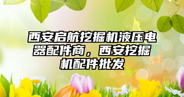 西安啟航挖掘機液壓電器配件商，西安挖掘機配件批發(fā)