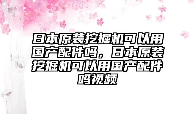 日本原裝挖掘機可以用國產(chǎn)配件嗎，日本原裝挖掘機可以用國產(chǎn)配件嗎視頻