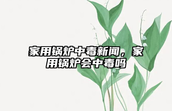 家用鍋爐中毒新聞，家用鍋爐會(huì)中毒嗎