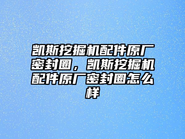 凱斯挖掘機配件原廠密封圈，凱斯挖掘機配件原廠密封圈怎么樣