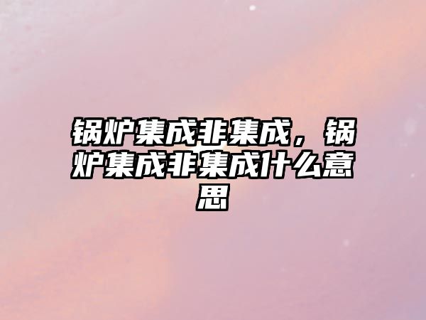 鍋爐集成非集成，鍋爐集成非集成什么意思