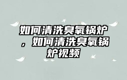 如何清洗臭氧鍋爐，如何清洗臭氧鍋爐視頻