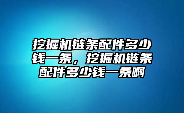 挖掘機鏈條配件多少錢一條，挖掘機鏈條配件多少錢一條啊