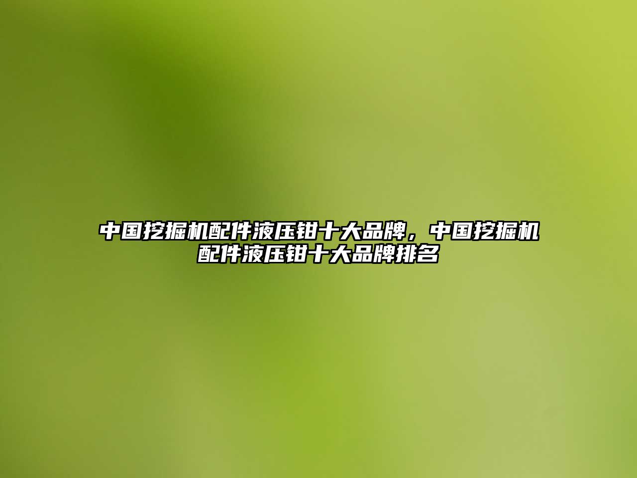 中國挖掘機配件液壓鉗十大品牌，中國挖掘機配件液壓鉗十大品牌排名