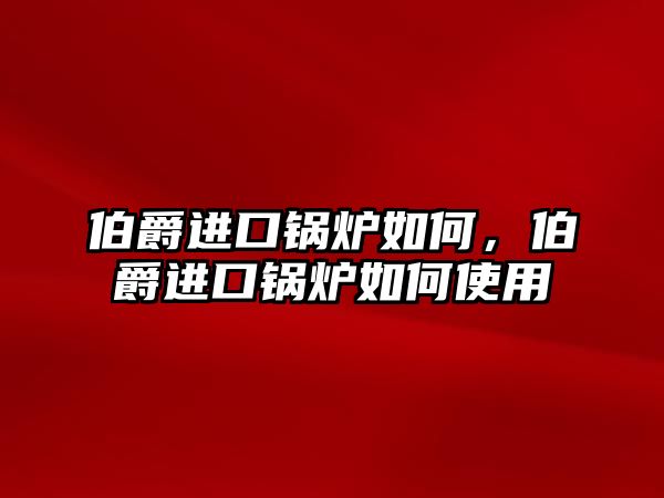 伯爵進(jìn)口鍋爐如何，伯爵進(jìn)口鍋爐如何使用