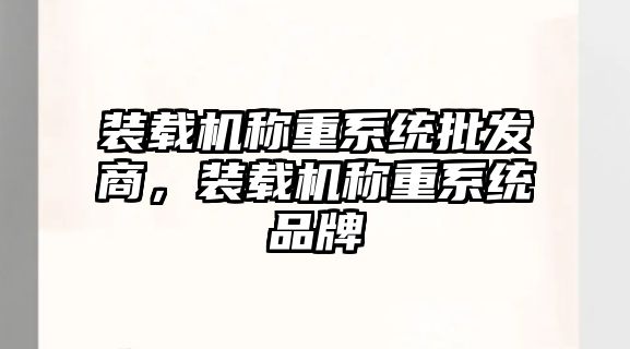 裝載機(jī)稱重系統(tǒng)批發(fā)商，裝載機(jī)稱重系統(tǒng)品牌