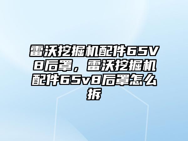 雷沃挖掘機配件65V8后罩，雷沃挖掘機配件65v8后罩怎么拆