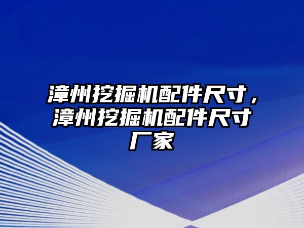 漳州挖掘機配件尺寸，漳州挖掘機配件尺寸廠家