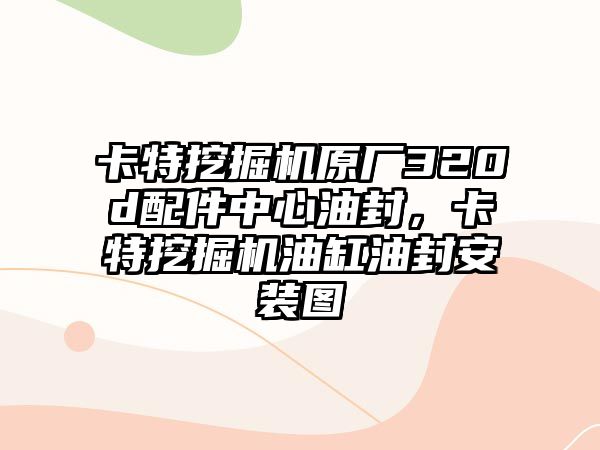 卡特挖掘機(jī)原廠320d配件中心油封，卡特挖掘機(jī)油缸油封安裝圖