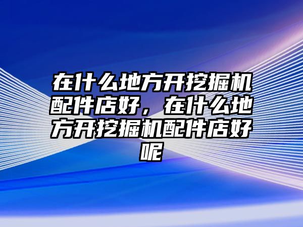 在什么地方開(kāi)挖掘機(jī)配件店好，在什么地方開(kāi)挖掘機(jī)配件店好呢