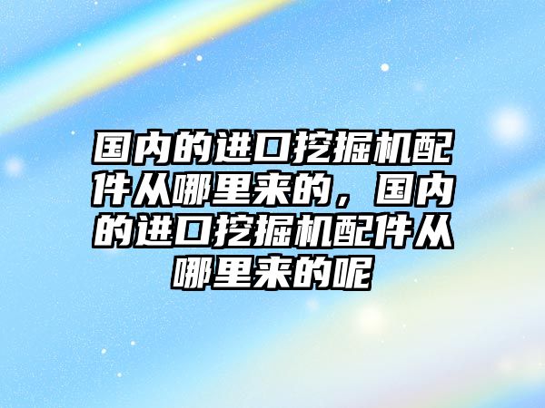 國內(nèi)的進口挖掘機配件從哪里來的，國內(nèi)的進口挖掘機配件從哪里來的呢