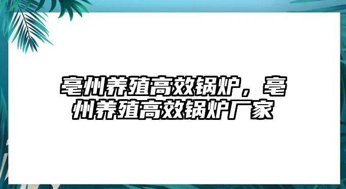 亳州養(yǎng)殖高效鍋爐，亳州養(yǎng)殖高效鍋爐廠家