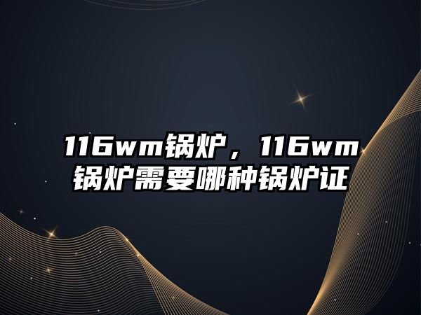 116wm鍋爐，116wm鍋爐需要哪種鍋爐證