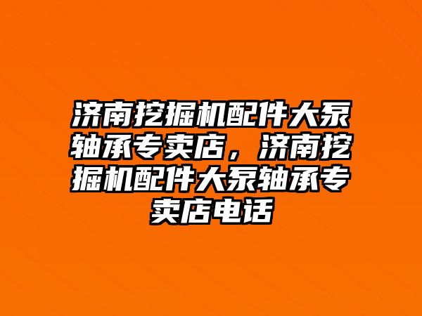 濟南挖掘機配件大泵軸承專賣店，濟南挖掘機配件大泵軸承專賣店電話