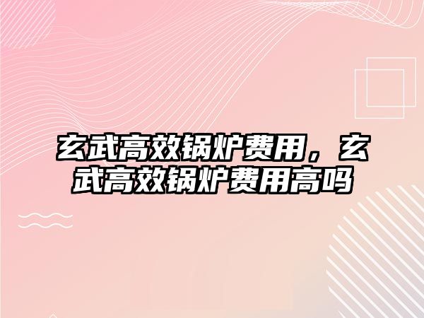 玄武高效鍋爐費用，玄武高效鍋爐費用高嗎