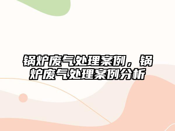 鍋爐廢氣處理案例，鍋爐廢氣處理案例分析