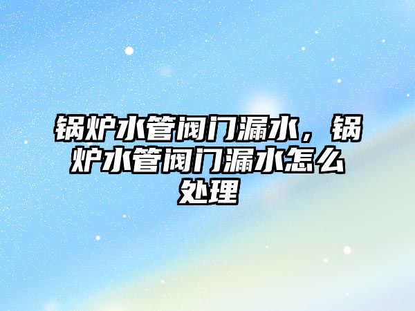 鍋爐水管閥門漏水，鍋爐水管閥門漏水怎么處理