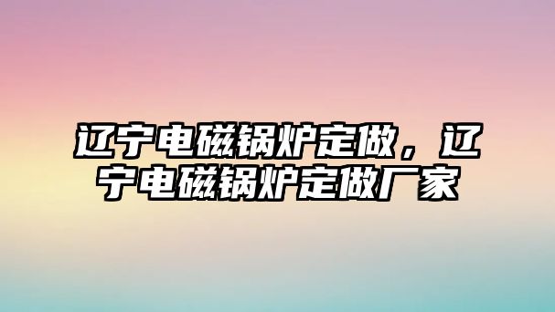 遼寧電磁鍋爐定做，遼寧電磁鍋爐定做廠家