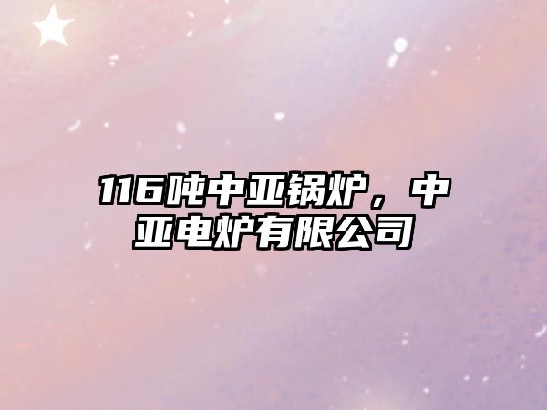 116噸中亞鍋爐，中亞電爐有限公司